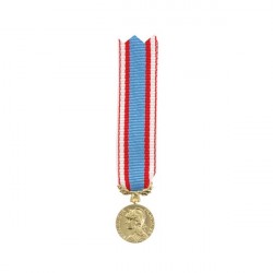 MEDAILLE REDUCTION COMMEMO AFN